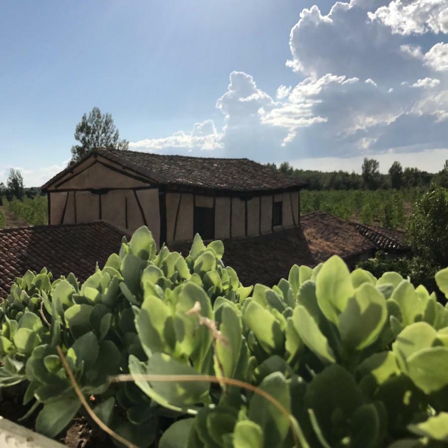 Molino De Villacelama Buitenkant foto
